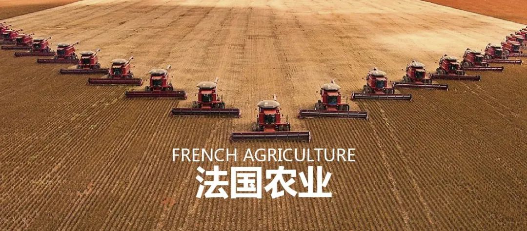 法国农业：欧盟农业大国，靠这6大战略制胜市场